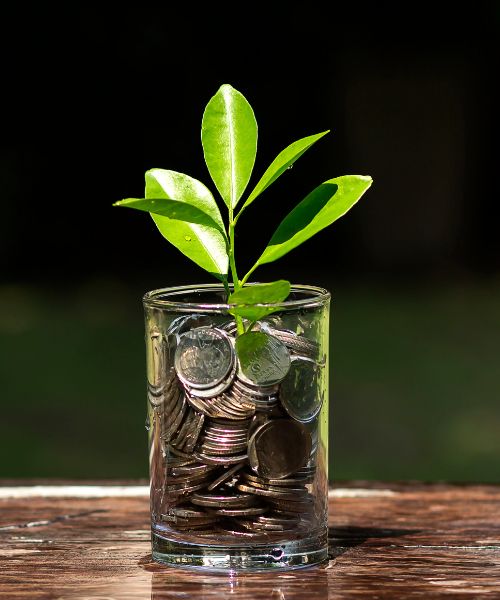 Speed Light Platform